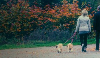 couple walking a god down a path in a park