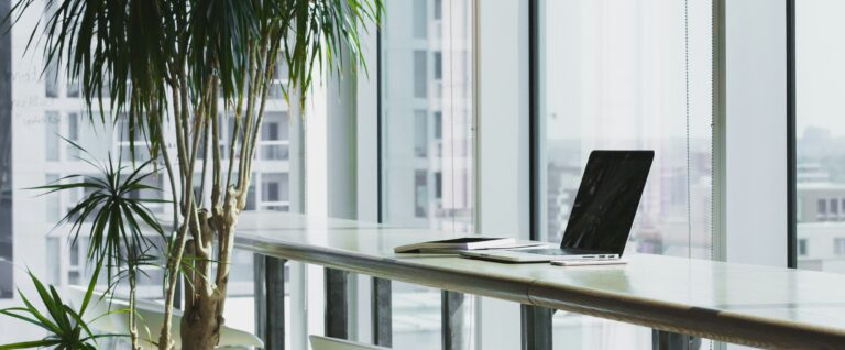 Laptop on counter next to window and tropical plant